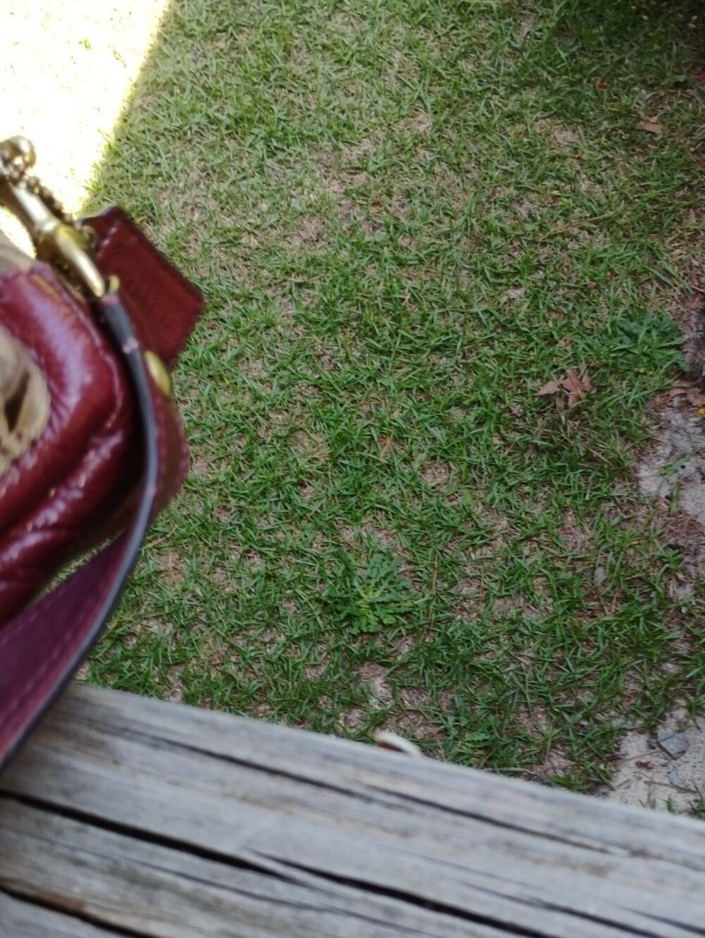 Coach Canvas Shoulder Bag with Dark Wine Red Patent Leather Trim - Picture 9 of 15